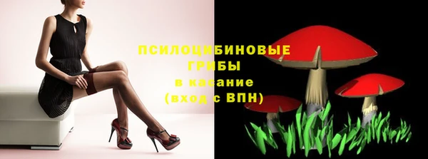 прущая мука Абаза