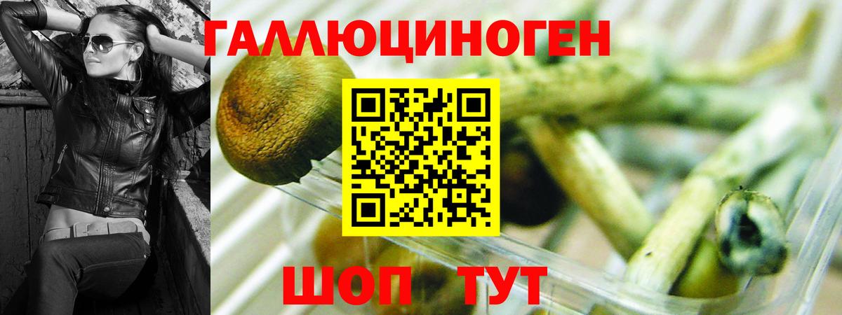 Галлюциногенные грибы мицелий Хасавюрт