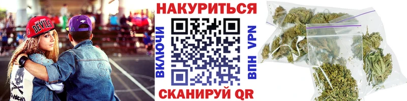 Конопля сатива Хасавюрт